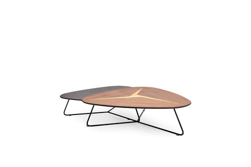 Bumerang Coffee Table