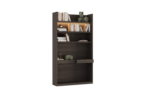 Luis Bookcase