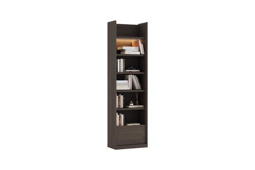 Luis Bookcase