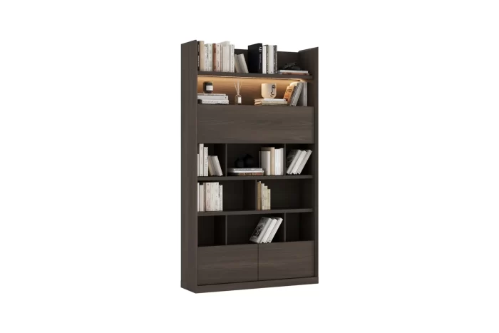 luis bookshelve module 7 2048x1366 1